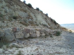 Castillo de Alcala 2009